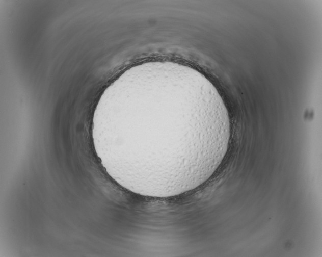 X0000090711489200708171856