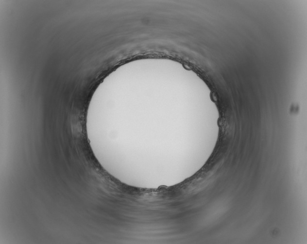 X0000090711490200708171856