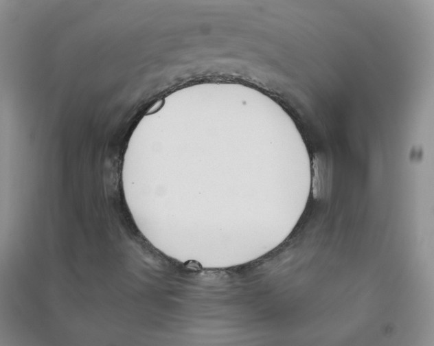 X0000090711491200708171856