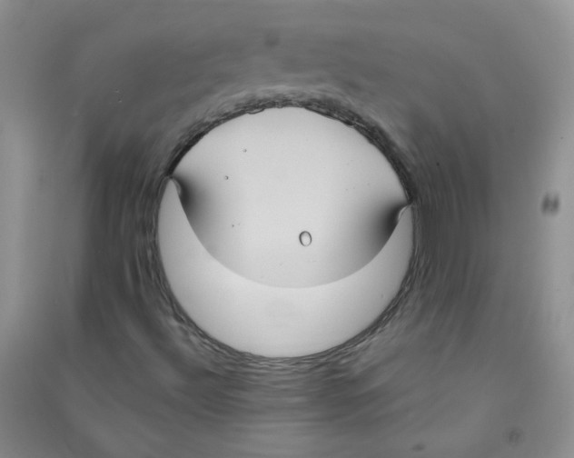 X0000090711492200708171856