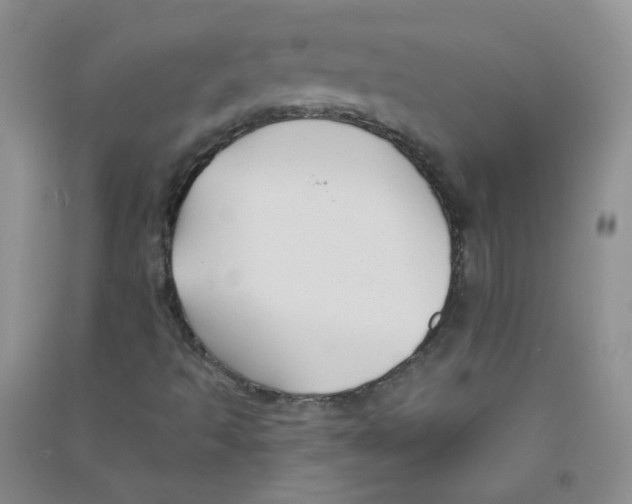 X0000090711493200708171856