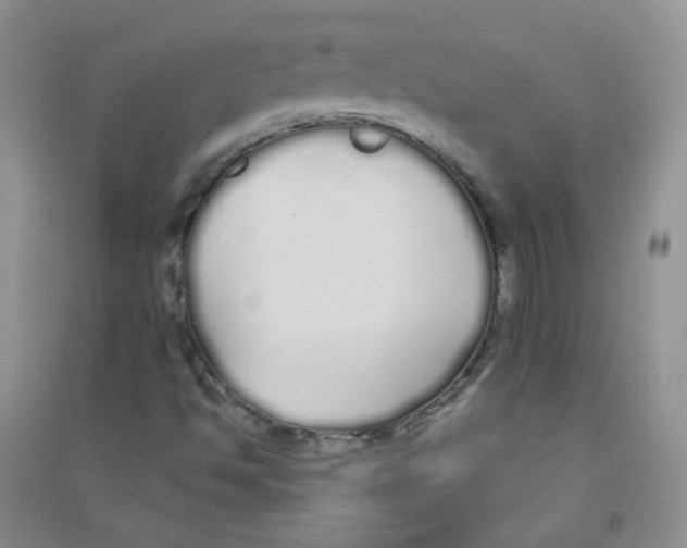 X0000090711494200708171856