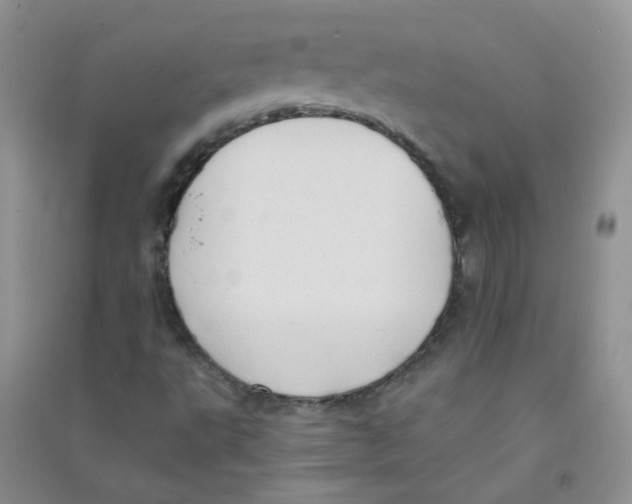 X0000090711495200708171856