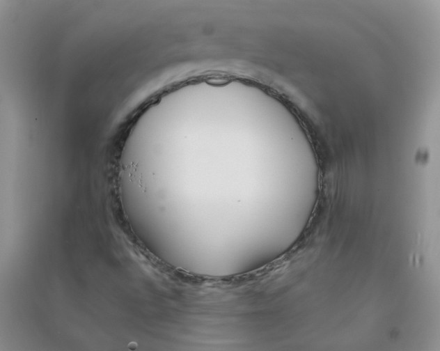 X0000090711496200708171856