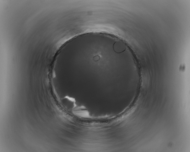 X0000090711497200708171856