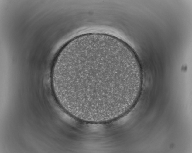 X0000090711498200708171856