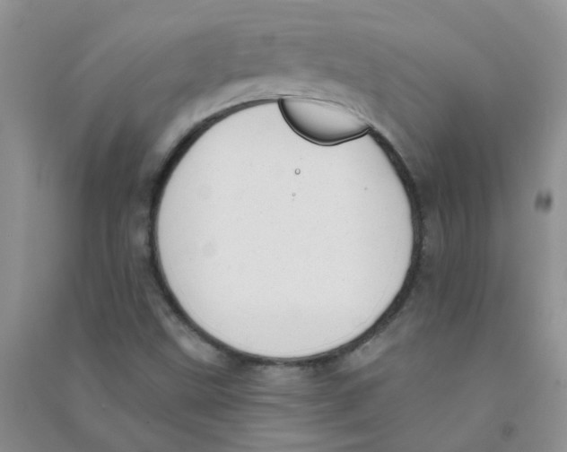 X0000090711499200708171856