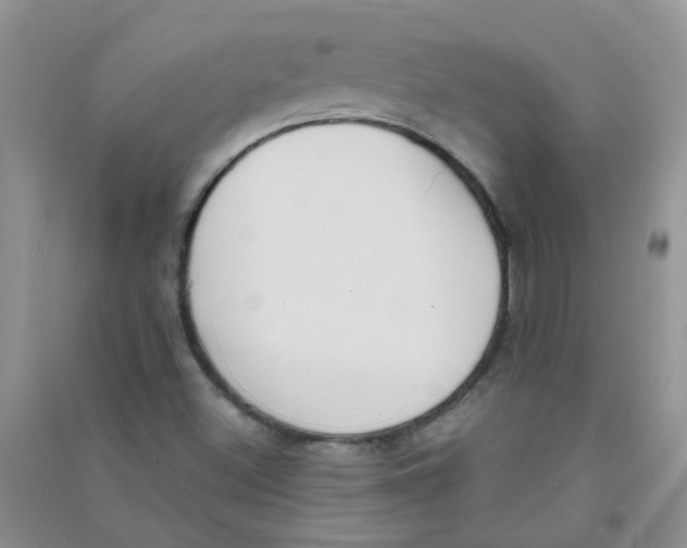 X0000090711500200708171856