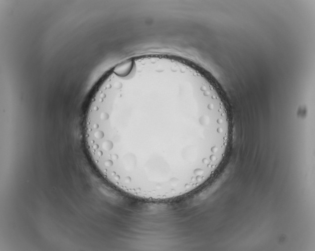 X0000090711501200708171856