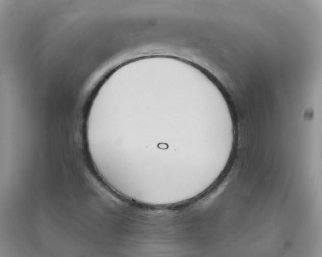 X0000090711502200708171856