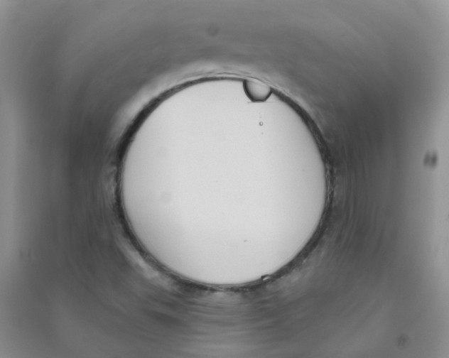 X0000090711503200708171856