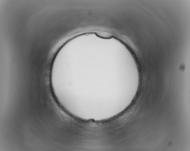 X0000090711504200708171856