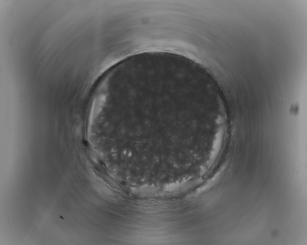 X0000090711505200708171856