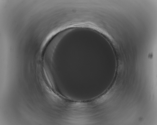 X0000090711506200708171856