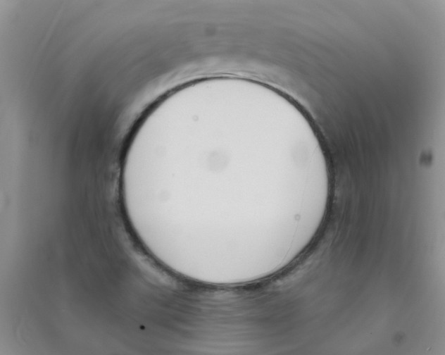 X0000090711507200708171856