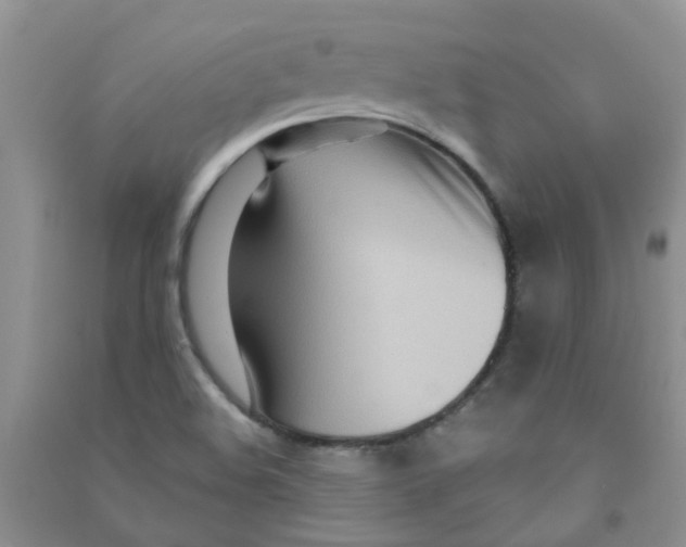 X0000090711508200708171856