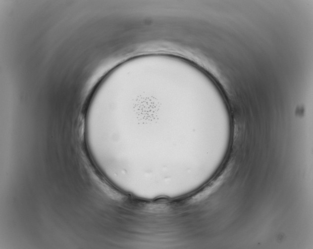 X0000090711509200708171856