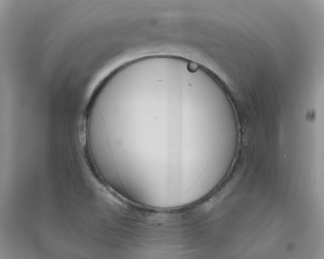 X0000090711510200708171856