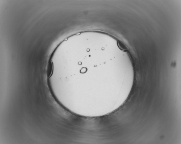 X0000090711512200708171856