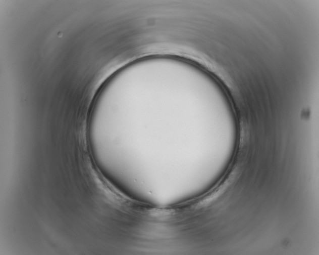 X0000090711513200708171856