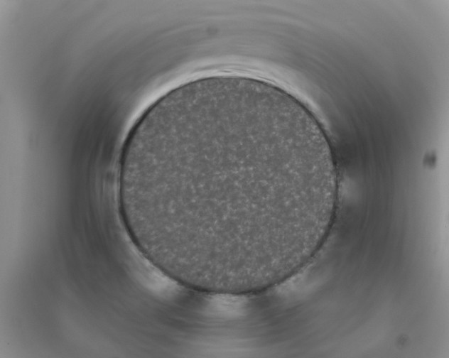 X0000090711514200708171856