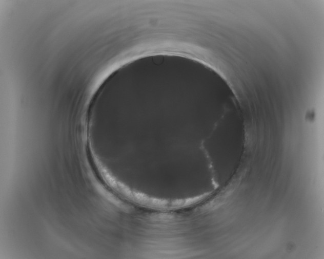 X0000090711515200708171856