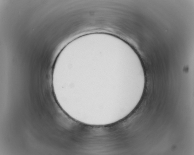 X0000090711516200708171856