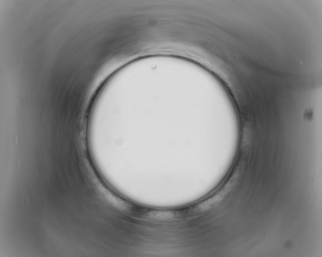 X0000090711517200708171856