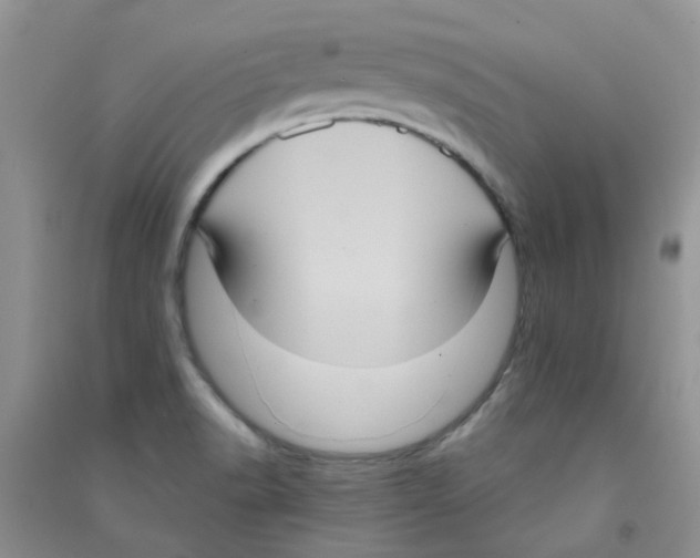 X0000090711518200708171856