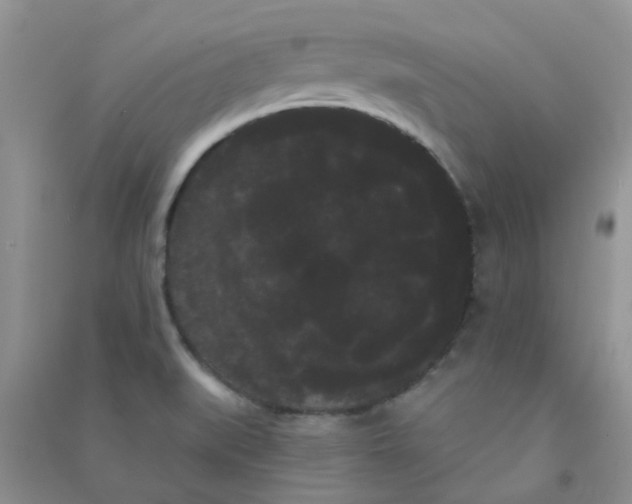 X0000090711519200708171856