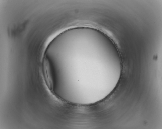 X0000090711520200708171856