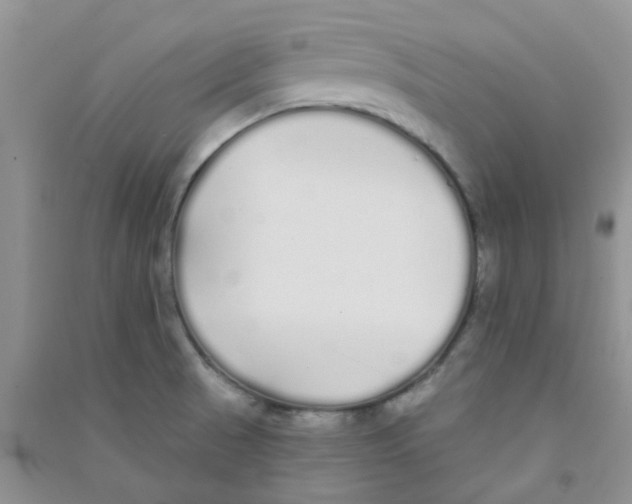 X0000090711521200708171856