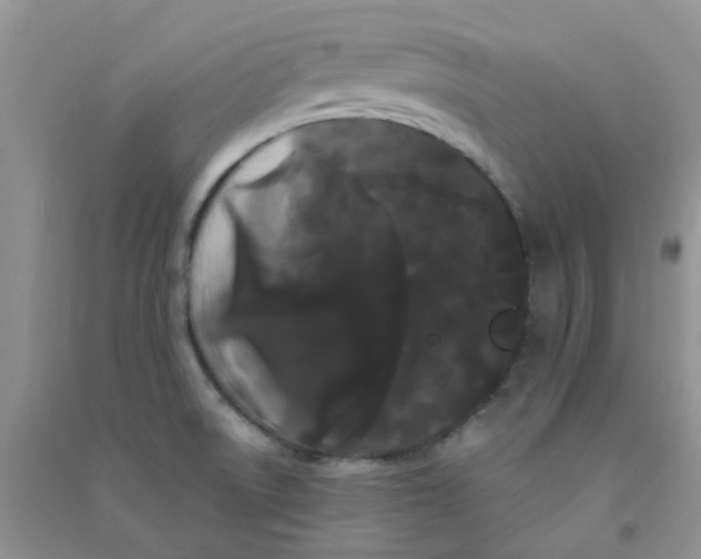 X0000090711522200708171856