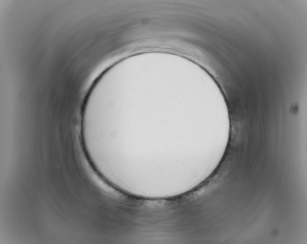 X0000090711523200708171856