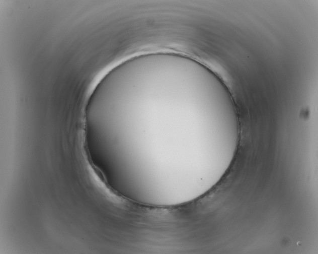 X0000090711524200708171856