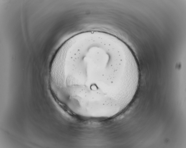 X0000090711525200708171856