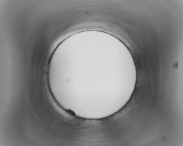 X0000090711526200708171856