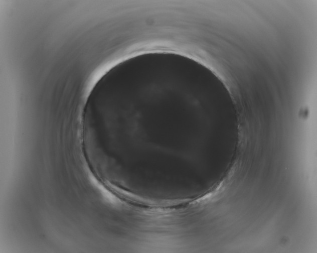 X0000090711527200708171856