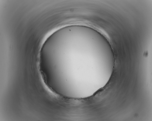 X0000090711528200708171856