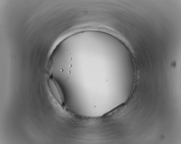 X0000090711530200708171856