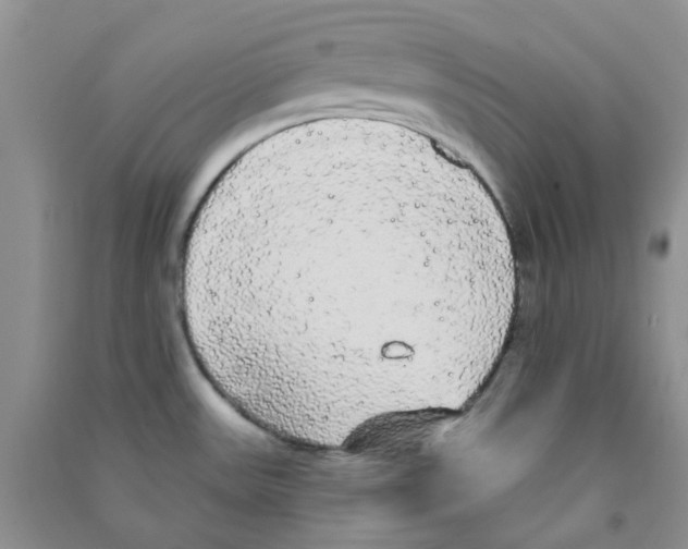 X0000090711531200708171856