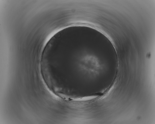 X0000090711533200708171856