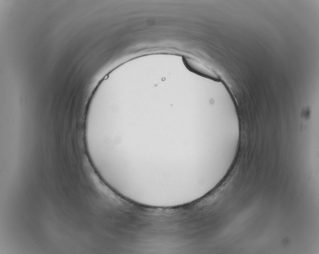 X0000090711534200708171856