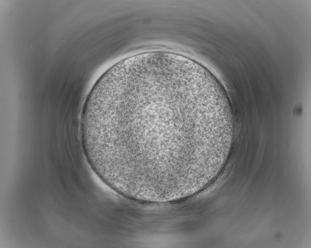 X0000090711535200708171856