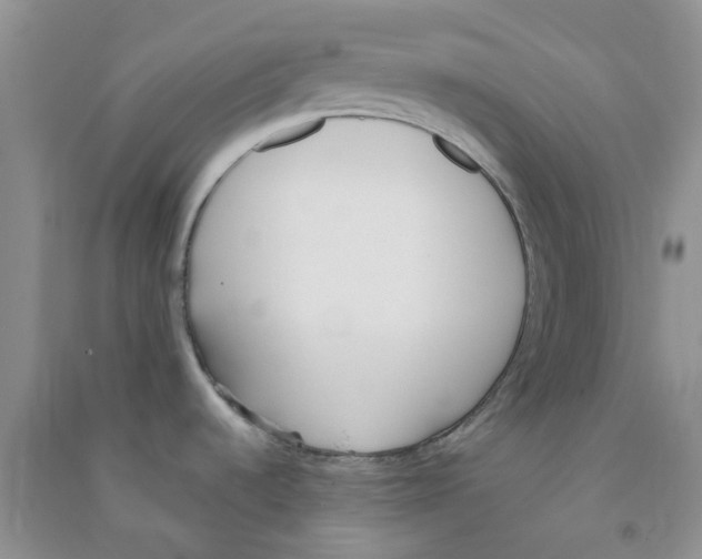 X0000090711536200708171856