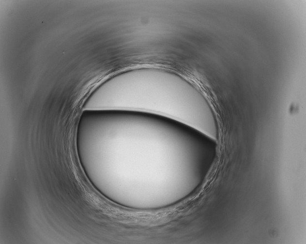 X0000090720001200707201024