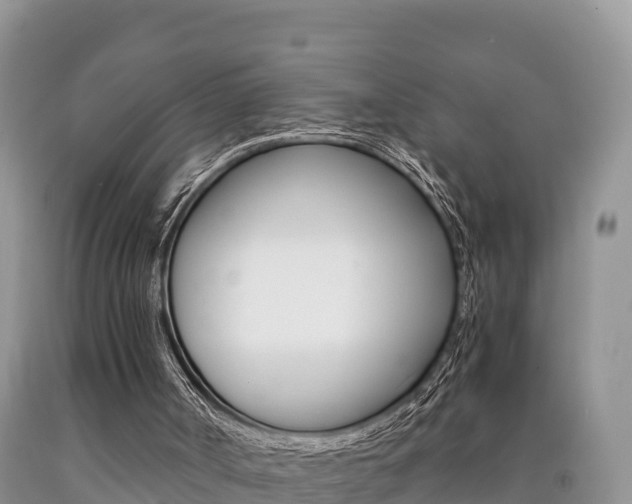 X0000090720002200707201024