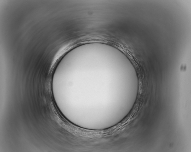 X0000090720004200707201024