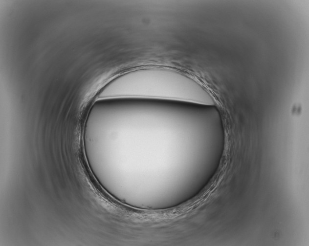 X0000090720005200707201024