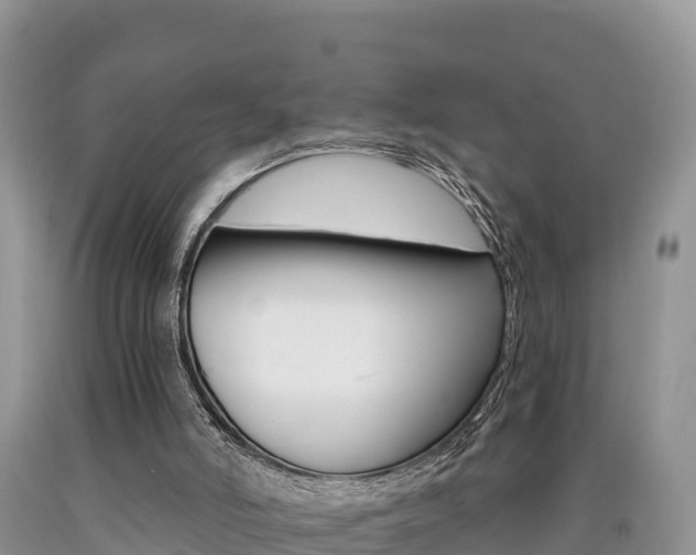 X0000090720006200707201024